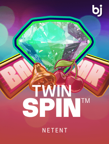 Twin Spin™ screenshot